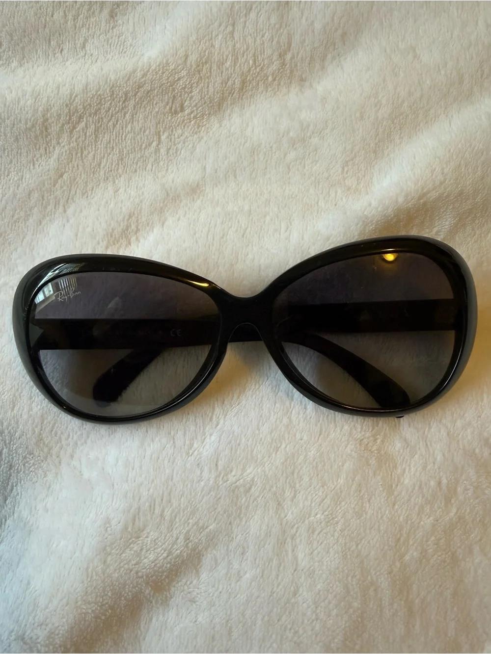 Ray-Ban Women's Black Oversized Round Sunglasses